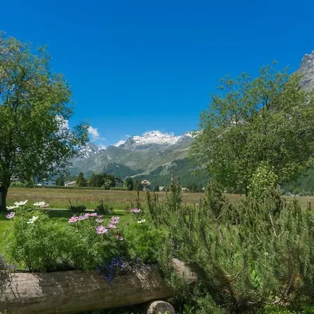 Chesa Flur Sulagl 2 By Interhome Sils Maria