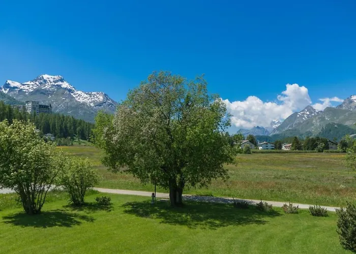 Chesa Flur Sulagl 2 By Interhome Appartement