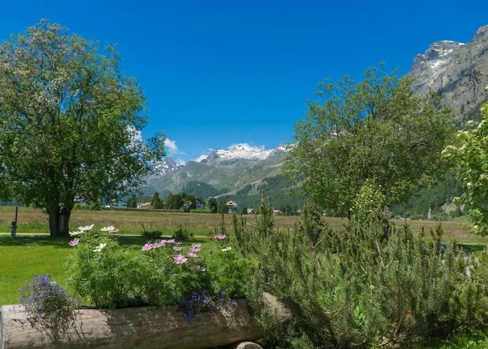 Chesa Flur Sulagl 2 By Interhome סילס מריה