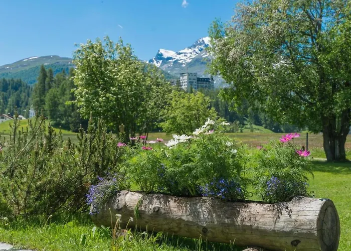 דירה Chesa Flur Sulagl 2 By Interhome